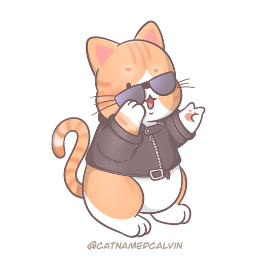 Cool Cat Sticker